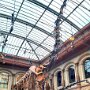 IMG_20250504_081748
