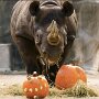 IMG_20250505_072407