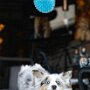 IMG_20250507_072713