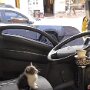 IMG_20250508_072755