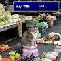 IMG_20250509_072653
