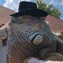 IMG_20250509_073055