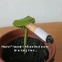 IMG_20250510_073802