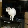 IMG_20250511_072239