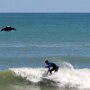 IMG_20250511_072259