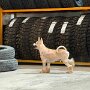 IMG_20250511_072359
