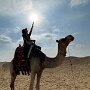IMG_20250511_072514