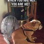 IMG_20250512_072727