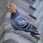 IMG_20250512_073011