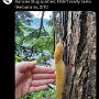 IMG_20250513_071207