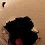 IMG_20250513_071303