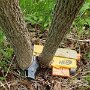 IMG_20250514_072933