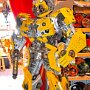 IMG_20250514_072946