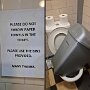 IMG_20250515_073035