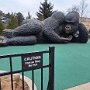 IMG_20250515_073154