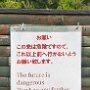 IMG_20250516_073015