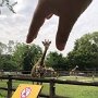 IMG_20250516_073056