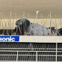 IMG_20250516_073102