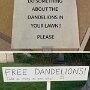 IMG_20250517_071620
