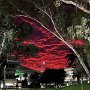 IMG_20250518_060119