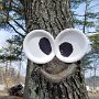 IMG_20250519_072549