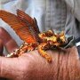 IMG_20250519_072559