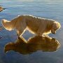 IMG_20250519_072620