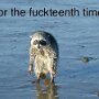 IMG_20250520_073025