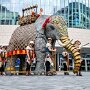 IMG_20250521_071930