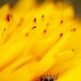 IMG_20250521_071942