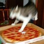 IMG_20250522_072752