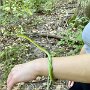 IMG_20250523_071307