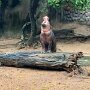 IMG_20250524_090834