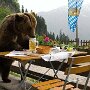 IMG_20250525_081148
