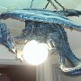 IMG_20250525_081211