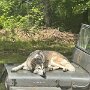 IMG_20250526_100413