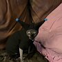IMG_20250527_072530