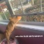 IMG_20250527_072827