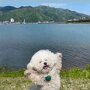 IMG_20250527_073110