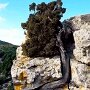 IMG_20250528_072739