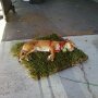 IMG_20250531_083001