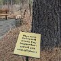 IMG_20250626_070623