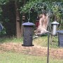 IMG_20250626_070651