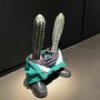 IMG_20250626_071211