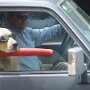IMG_20250626_071216