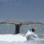 IMG_20250627_070619