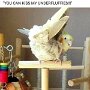 IMG_20250628_081536