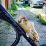IMG_20250628_082005