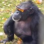 IMG_20250630_065421