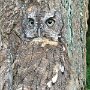 IMG_20250630_065541
